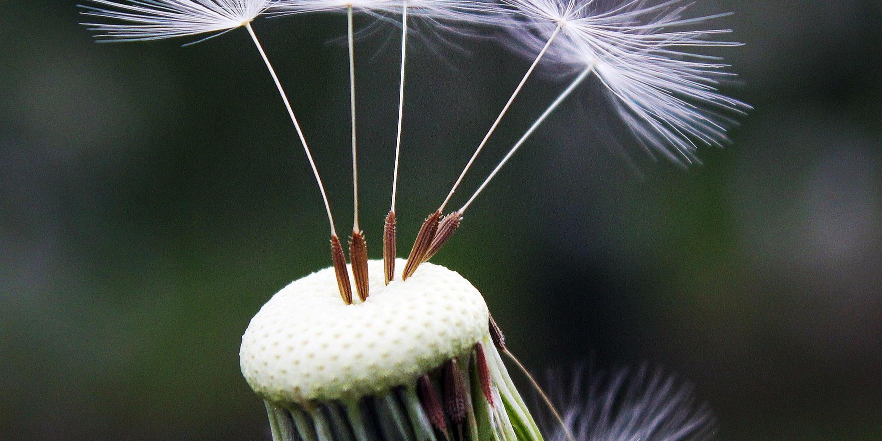 Hochsensible-Kinder-online