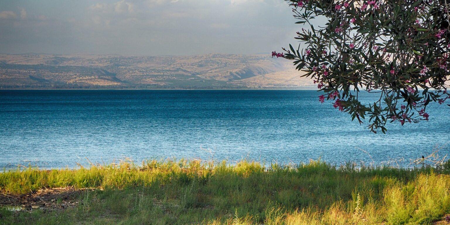 See-Israel