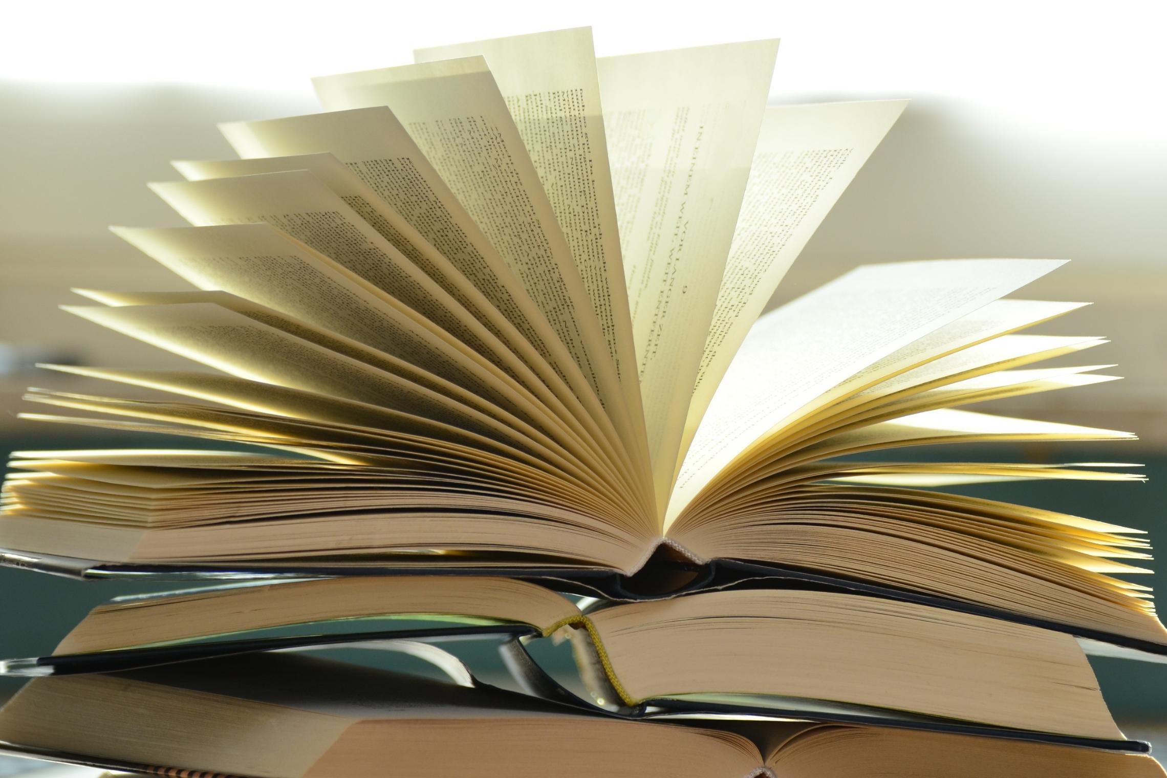 Bücher schmökern