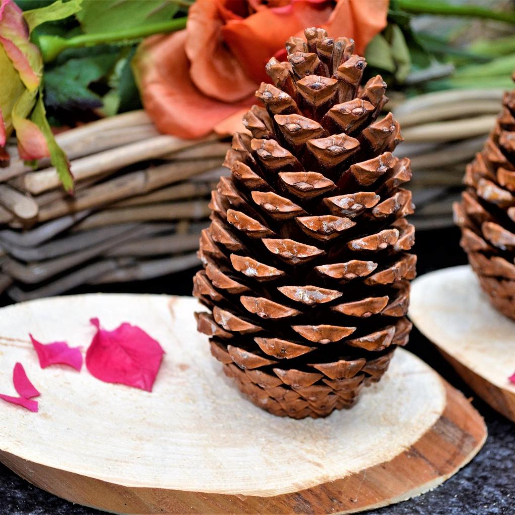 Naturwerkstatt Advent