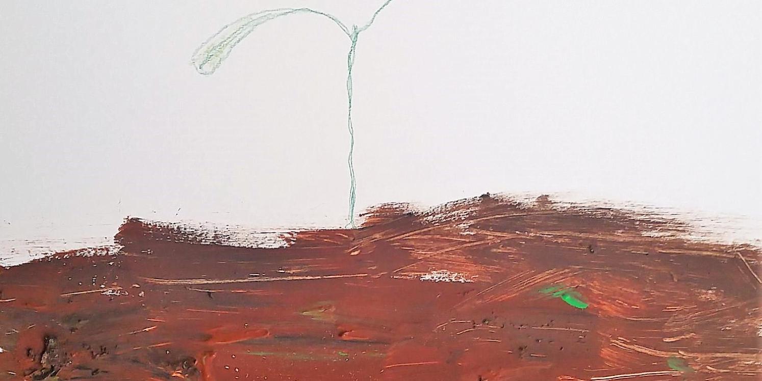 Erde-Bild