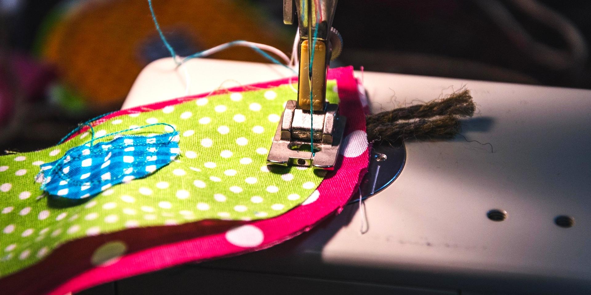 Zick-Zack-ranii-pixabay