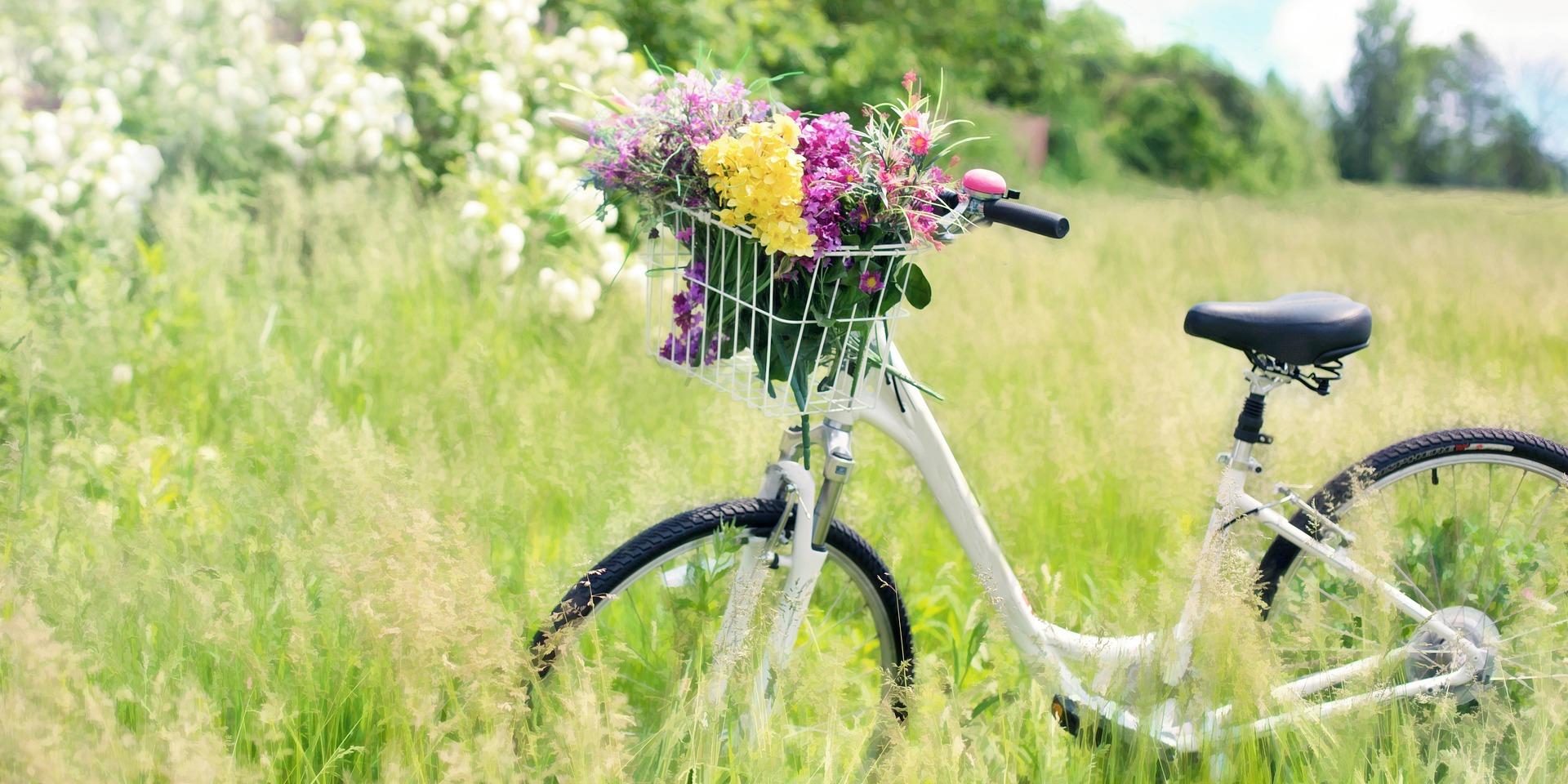 Fahrradtour-Kräuterglück